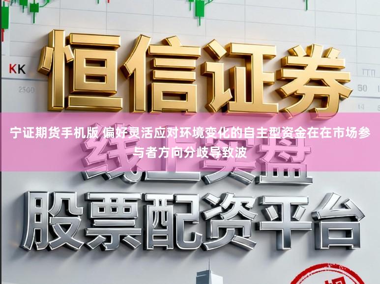 宁证期货手机版 偏好灵活应对环境变化的自主型资金在在市场参与者方向分歧导致波