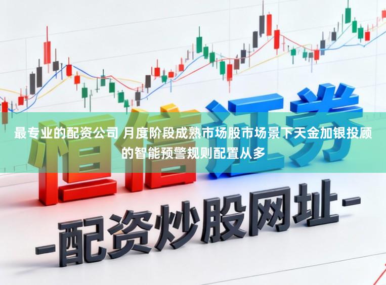 最专业的配资公司 月度阶段成熟市场股市场景下天金加银投顾的智能预警规则配置从多