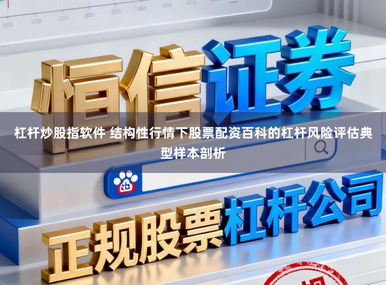杠杆炒股指软件 结构性行情下股票配资百科的杠杆风险评估典型样本剖析