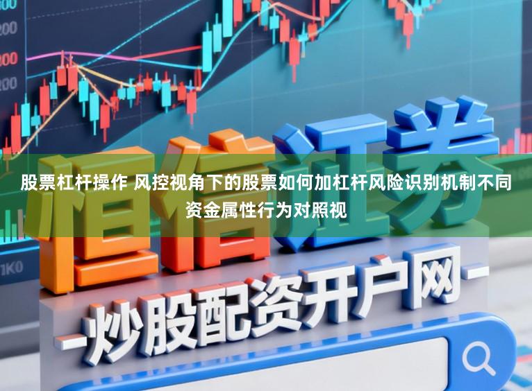 股票杠杆操作 风控视角下的股票如何加杠杆风险识别机制不同资金属性行为对照视