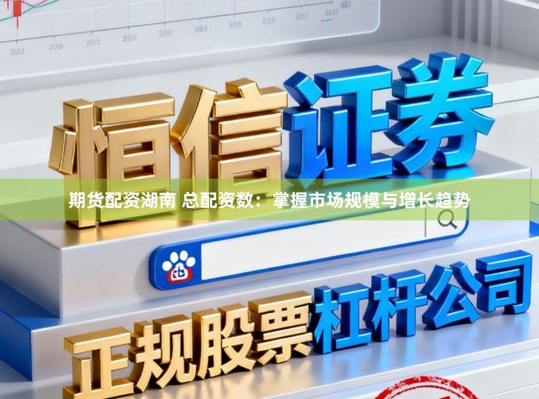 期货配资湖南 总配资数：掌握市场规模与增长趋势