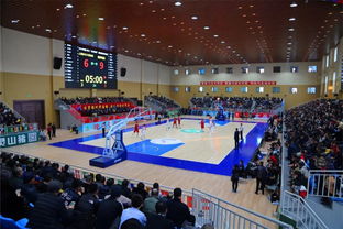 基层动态 2019中国 铁力 日月峡杯 国际男子篮球争霸赛在铁力林业局文化体育艺术中心拉开战幕
