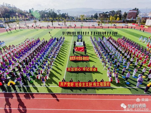 牟定县实验小学第四届校园文化体育艺术节活动震撼来袭